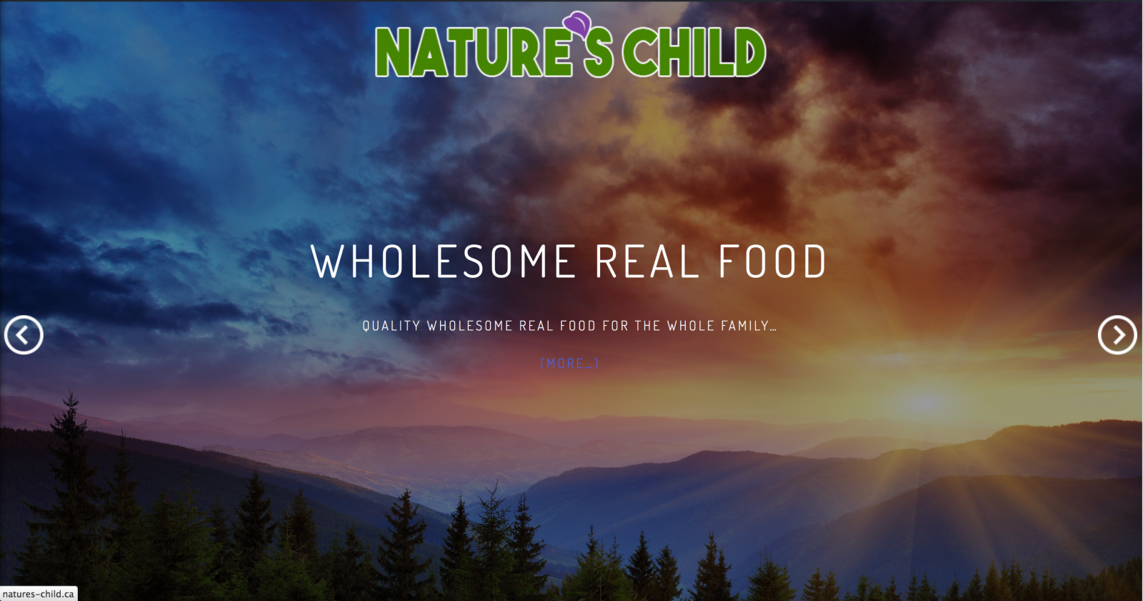 Nature's Child Affiliate Website