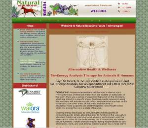 Natural-Future Website 2003 HTML