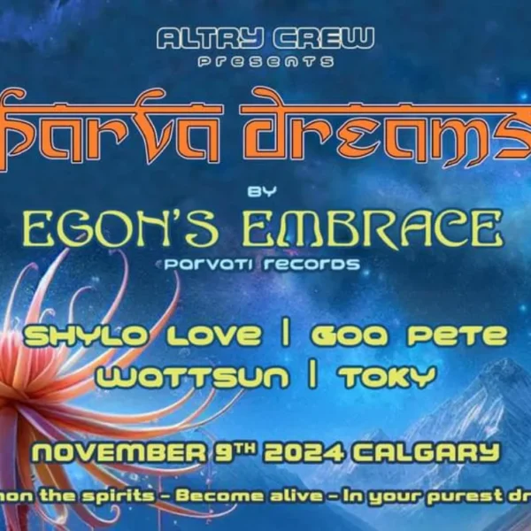 Sound bath and DJ set in Calgary: Evolved Movement Arts, Nov 9, 2024